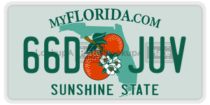 66DJUV  license plate in FL
