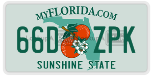 66DZPK  license plate in FL