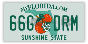 66GDRM  license plate in FL
