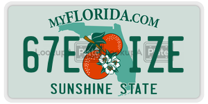 67EIZE  license plate in FL