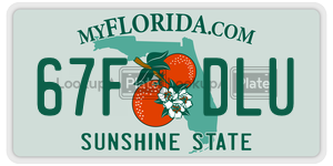67FDLU  license plate in FL