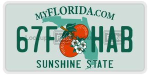 67FHAB  license plate in FL
