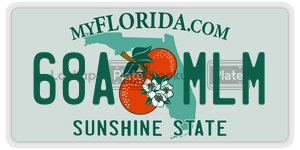 68AMLM  license plate in FL