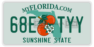 68ETYY  license plate in FL