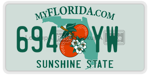 694YW license plate in Florida