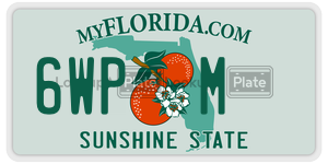 6WPM  license plate in FL