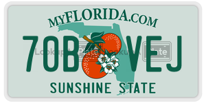 70BVEJ  license plate in FL