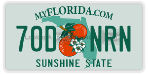 70DNRN license plate in Florida