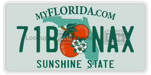 71BNAX  license plate in FL