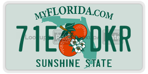 71EDKR license plate in Florida