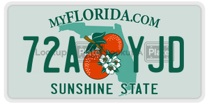 72AYJD license plate in Florida