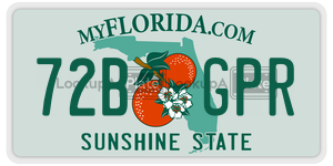 72BGPR license plate in Florida