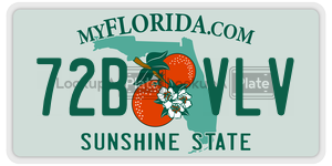 72BVLV license plate in Florida