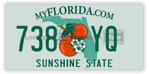 738YQ license plate in Florida