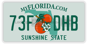 73FDHB  license plate in FL