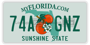 74AGNZ  license plate in FL