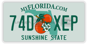 74DXEP license plate in Florida