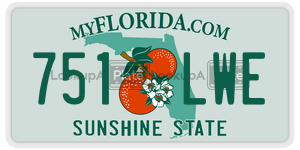 751LWE  license plate in FL