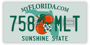758MLT  license plate in FL
