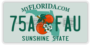75AFAU  license plate in FL