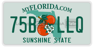 75BLLQ license plate in Florida