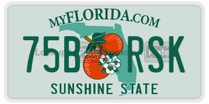 75BRSK  license plate in FL