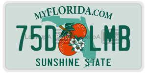 75DLMB  license plate in FL