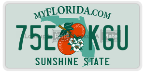 75EKGU  license plate in FL