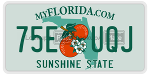 75EUQJ  license plate in FL