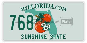 768  license plate in FL