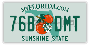 76BDMT  license plate in FL