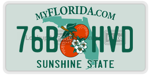76BHVD  license plate in FL