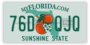76DQJQ  license plate in FL