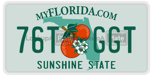 76TGGT  license plate in FL