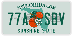 77ASBV license plate in Florida