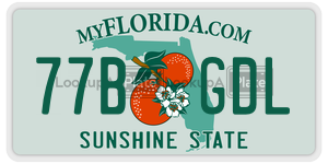 77BGDL license plate in Florida