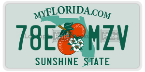 78EMZV  license plate in FL
