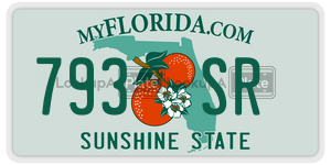 793SR  license plate in FL