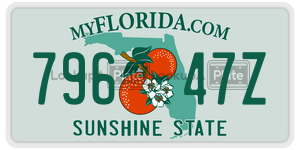 79647Z  license plate in FL