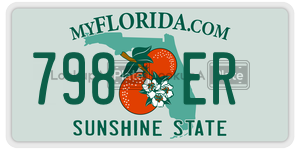 798ER  license plate in FL