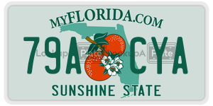 79ACYA  license plate in FL