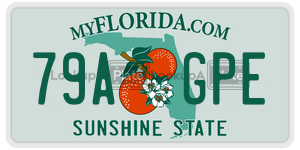 79AGPE  license plate in FL