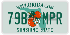 79BMPR license plate in Florida