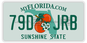 79DJRB license plate in Florida
