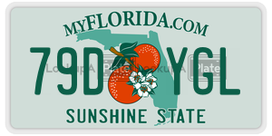 79DYGL  license plate in FL