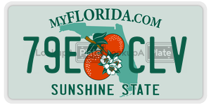 79ECLV  license plate in FL