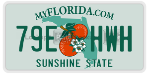 79EHWH  license plate in FL