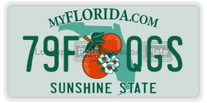 79FQGS  license plate in FL