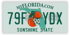 79FYDX  license plate in FL