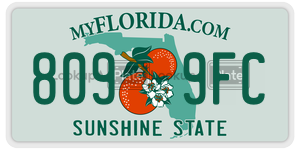 8099FC license plate in Florida